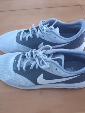 Nike Gray Low-Top Sneakers with White Swoosh